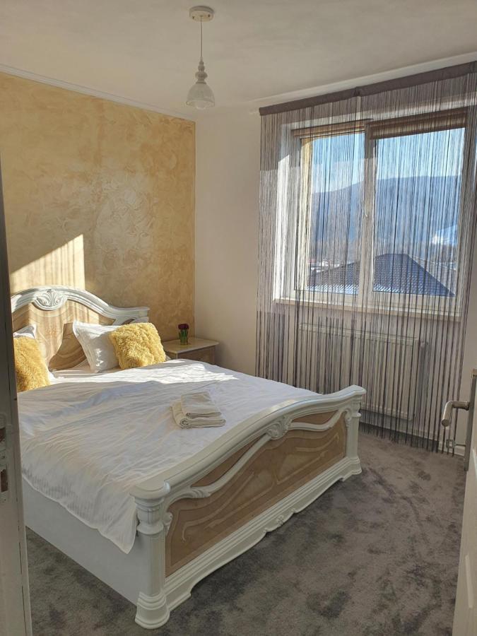 Apartament Tiron In Centru Orasului Гура-Гуморулуй Экстерьер фото